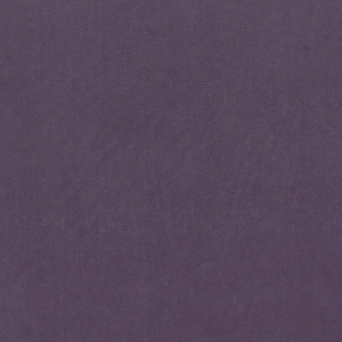 Alvar Grape by Clarke And Clarke Fabric Clarke And Clarke Fabric Alvar GrapeFabric CLARKE & CLARKE ALVAR 2 POLYESTER - 100% China </p><p>Repeat: H: 0, V: 0 56.75 - Fabric Carolina -