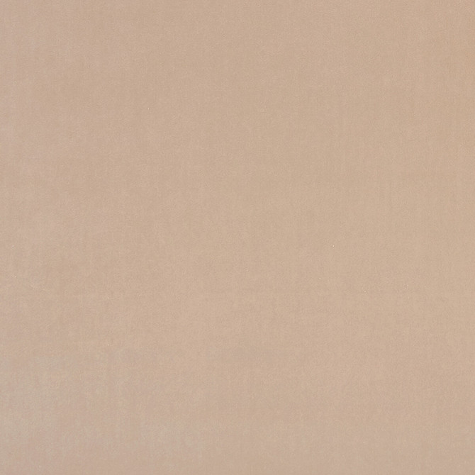 Alvar Nude by Clarke And Clarke Fabric CLARKE & CLARKE ALVAR 2 POLYESTER - 100% China HEAVY Horizontal: 0 and Vertical: 0 56.75 - Fabric Carolina -