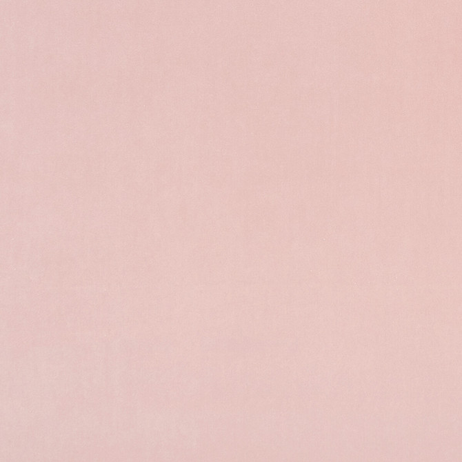 Alvar Petal by Clarke And Clarke Fabric CLARKE & CLARKE ALVAR 2 POLYESTER - 100% China HEAVY Horizontal: 0 and Vertical: 0 56.75 - Fabric Carolina -