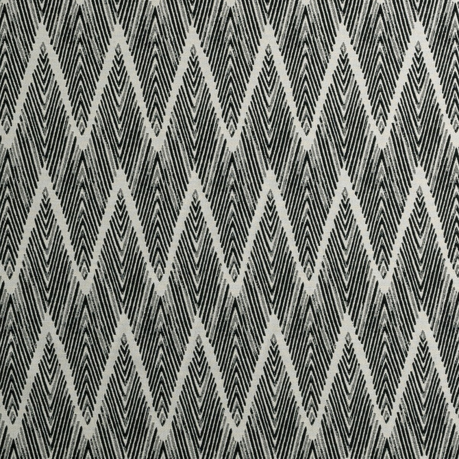Bw1022 Black/White by Clarke And Clarke Fabric CLARKE & CLARKE BLACK + WHITE POLYESTER - 34%;COTTON - 32%;VISCOSE - 20%;LINEN - 14% Turkey MEDIUM Horizontal: 6.89 and Vertical: 6.73 55 - Fabric Carolina -