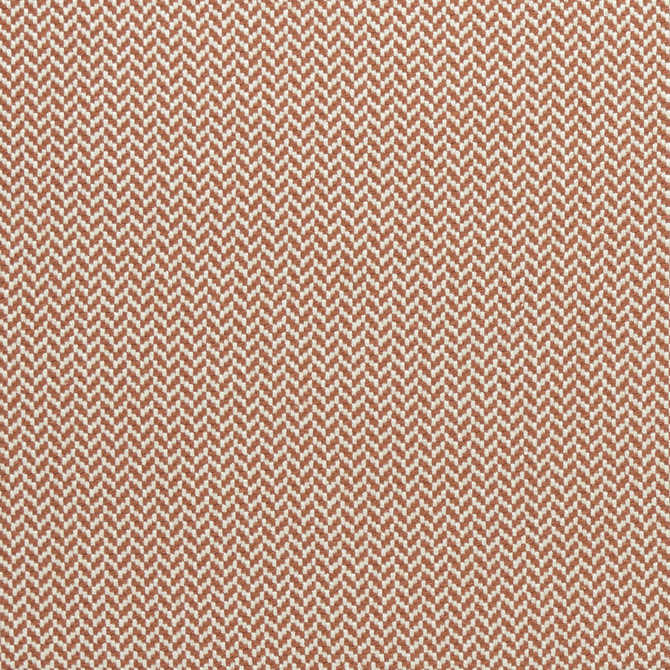 Zalika Cinnabar by Clarke And Clarke Fabric CLARKE & CLARKE AMARA COTTON - 97%;POLYESTER - 3% India HEAVY Horizontal: 0.43 and Vertical: 0.24 55 - Fabric Carolina -