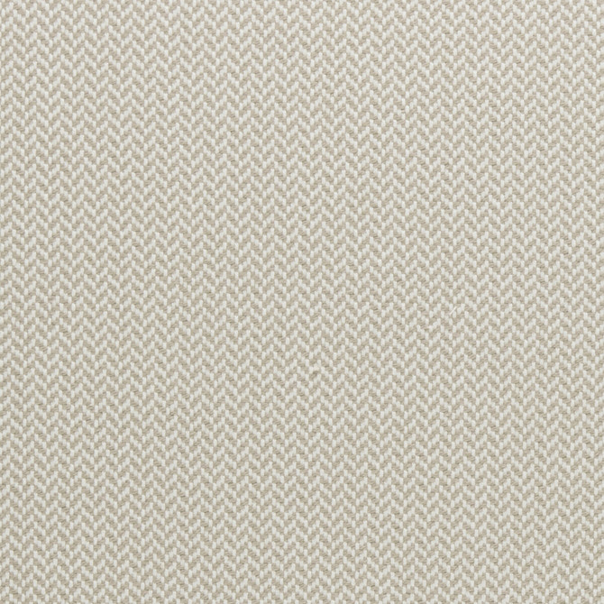 Zalika Natural by Clarke And Clarke Fabric CLARKE & CLARKE AMARA COTTON - 97%;POLYESTER - 3% India HEAVY Horizontal: 0.43 and Vertical: 0.24 55 - Fabric Carolina -