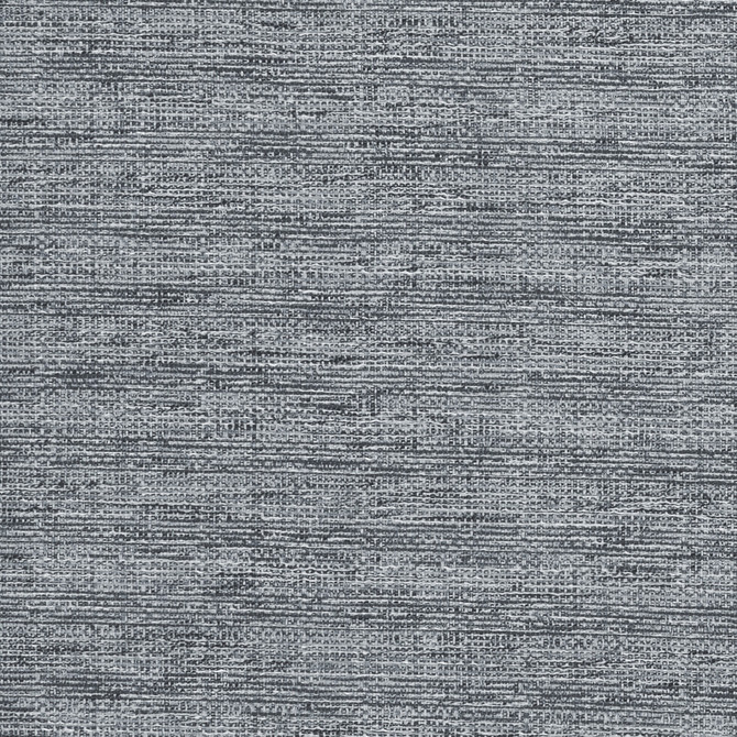 Aldo Charcoal by Clarke And Clarke Fabric CLARKE & CLARKE DELTA POLYESTER - 53%;COTTON - 47% India - Horizontal: 0 and Vertical: 0 54 - Fabric Carolina -