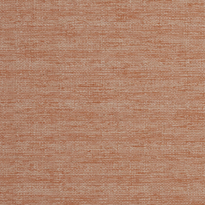 Aldo Spice by Clarke And Clarke Fabric CLARKE & CLARKE DELTA POLYESTER - 53%;COTTON - 47% India Horizontal: 0 and Vertical: 0 54 - Fabric Carolina -