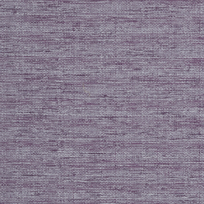 Aldo Violet by Clarke And Clarke Fabric CLARKE & CLARKE DELTA POLYESTER - 53%;COTTON - 47% India Horizontal: 0 and Vertical: 0 54 - Fabric Carolina -