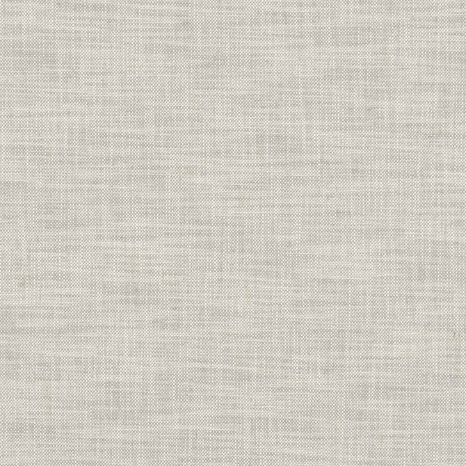 Milton Dove by Clarke And Clarke Fabric CLARKE & CLARKE HERITAGE COTTON - 42%;COTTON - 42%;LINEN - 11%;POLYESTER - 5% Turkey HEAVY Horizontal: 0 and Vertical: 0 54 - Fabric Carolina -