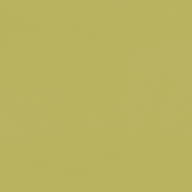 Renzo Citrus by Clarke And Clarke Fabric CLARKE & CLARKE RENZO POLYESTER - 100% China HEAVY Horizontal: 0 and Vertical: 0 55 - Fabric Carolina -
