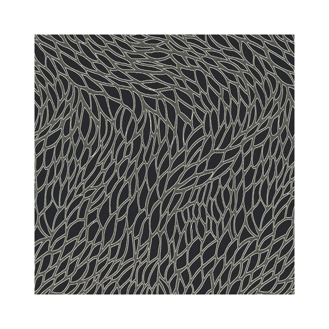 Corallino Nero by Clarke And Clarke Fabric CLARKE & CLARKE LUSSO 2 COTTON - 53%;POLYESTER - 47% India MEDIUM Horizontal: 9.17 and Vertical: 20.67 54 - Fabric Carolina -