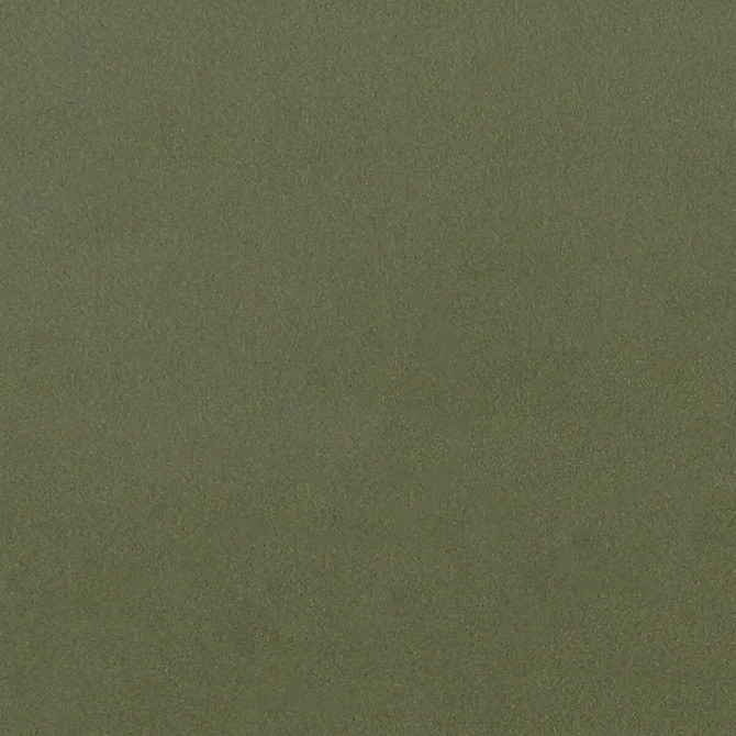 Lucca Herb by Clarke And Clarke Fabric CLARKE & CLARKE ALONSO POLYESTER - 100% China HEAVY Horizontal: - and Vertical: - 55.125 - Fabric Carolina -