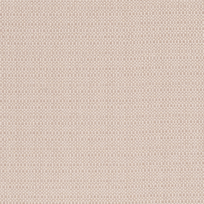 Kauai Blush by Clarke And Clarke Fabric CLARKE & CLARKE EXOTICA COTTON - 46%;POLYESTER - 42%;VISCOSE - 12% India HEAVY Horizontal: 0 and Vertical: 0 54 - Fabric Carolina -