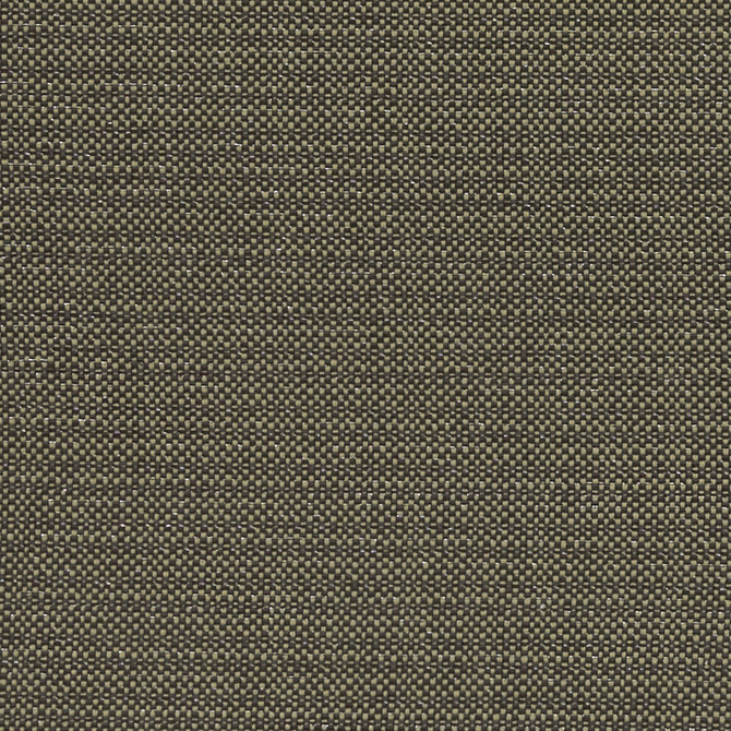 Kauai Charcoal by Clarke And Clarke Fabric CLARKE & CLARKE EXOTICA COTTON - 46%;POLYESTER - 42%;VISCOSE - 12% India HEAVY Horizontal: 0 and Vertical: 0 54 - Fabric Carolina -