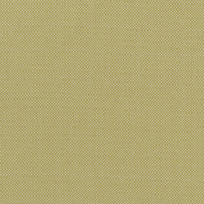 Kauai Citron by Clarke And Clarke Fabric CLARKE & CLARKE EXOTICA COTTON - 46%;POLYESTER - 42%;VISCOSE - 12% India HEAVY Horizontal: 0 and Vertical: 0 54 - Fabric Carolina -
