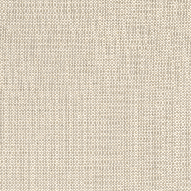 Kauai Linen by Clarke And Clarke Fabric CLARKE & CLARKE EXOTICA COTTON - 46%;POLYESTER - 42%;VISCOSE - 12% India HEAVY Horizontal: 0 and Vertical: 0 54 - Fabric Carolina -