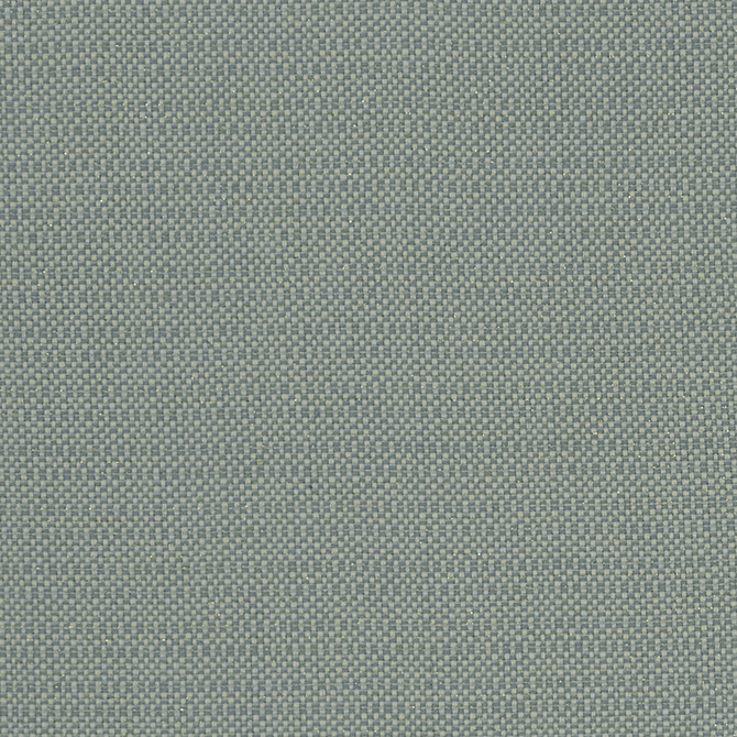 Kauai Mineral by Clarke And Clarke Fabric CLARKE & CLARKE EXOTICA COTTON - 46%;POLYESTER - 42%;VISCOSE - 12% India HEAVY Horizontal: 0 and Vertical: 0 54 - Fabric Carolina -