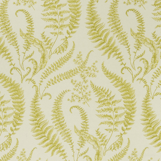 Folium Chartreuse by Clarke And Clarke Fabric CLARKE & CLARKE EDEN COTTON - 90%;LINEN - 10% Spain MEDIUM Horizontal: 17.75 and Vertical: 31.5 54.375 - Fabric Carolina -