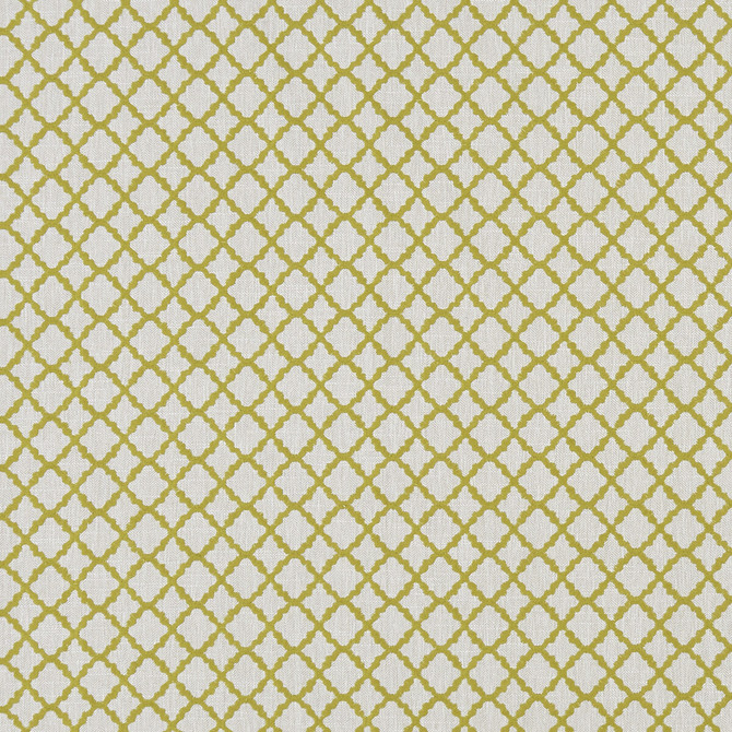 Ariyana Chartreuse by Clarke And Clarke Fabric CLARKE & CLARKE PRINCE OF PERSIA COTTON - 61%;POLYESTER - 24%;VISCOSE - 15% India - Horizontal: 1.625 and Vertical: 1.625 50.5 - Fabric Carolina -