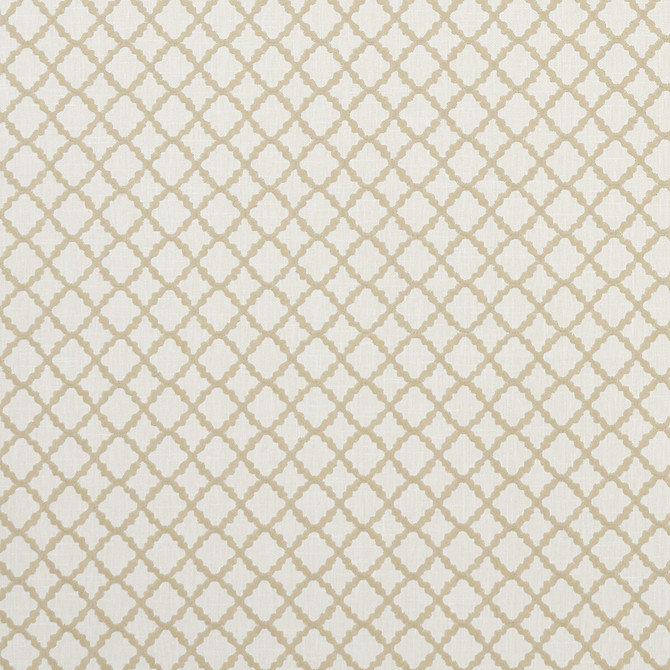 Ariyana Natural by Clarke And Clarke Fabric CLARKE & CLARKE PRINCE OF PERSIA COTTON - 61%;POLYESTER - 24%;VISCOSE - 15% India Horizontal: 1.625 and Vertical: 1.625 50.5 - Fabric Carolina -