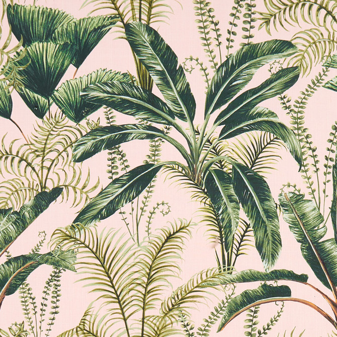 Majorelle Blush by Clarke And Clarke Fabric Clarke And Clarke Fabric Majorelle BlushFabric CLARKE & CLARKE PRINCE OF PERSIA COTTON - 100% India </p><p>Repeat: H: 27, V: 24.875 54.25 - Fabric Carolina -