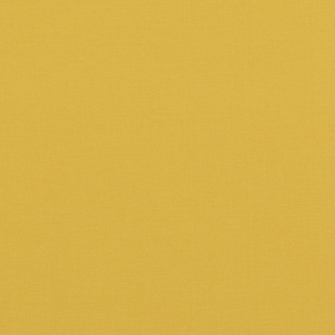 Pavilion Yellow by Baker Lifestyle Fabric PAVILION - BLEGRAVE NOTEBOOK COTTON - 65%;POLYESTER - 35% Turkey Horizontal: and Vertical: 58.04408 - Fabric Carolina -