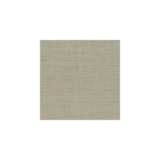 Patagonia Straw by Winfield Thybony Wallcovering Winfield Thybony Wallcovering Patagonia StrawWallcovering WINFIELD THYBONY VINYL - 100% United States </p><p>Repeat: H: , V: 54 - Fabric Carolina -