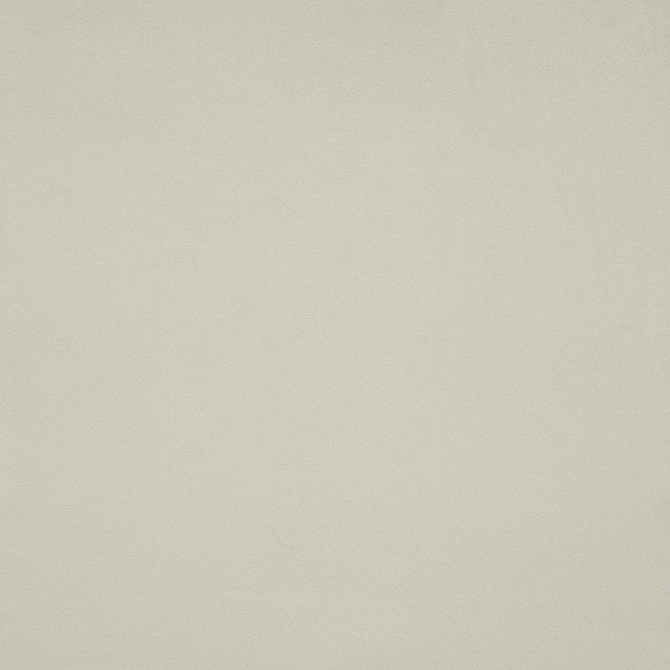 Bacall # 778 Pearl by Maxwell Fabric Velvet Room 100% POLYESTER CHINA 56" - Fabric Carolina -