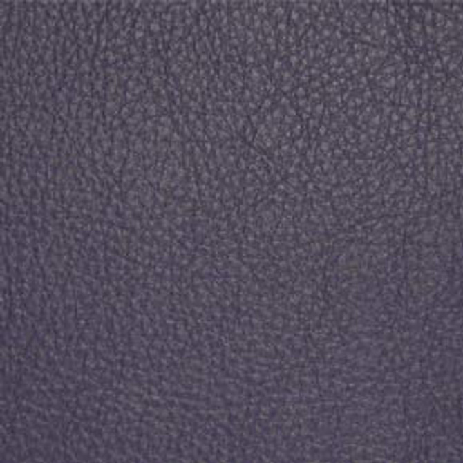 Classic (Contract Vinyl) # 022 Iris by Maxwell Fabric VINYLS I - CONTRACT 100% PVC
BACKING-100% POLYESTER TAIWAN </p><p>Repeat: Horizontal: and Vertical: 54" - Fabric Carolina -