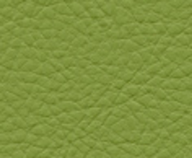 Classic(Contract Vinyl) # 113 Scallion by Maxwell Fabric VINYLS I - CONTRACT 100% PVC BACKING-100% POLYESTER TAIWAN 54" - Fabric Carolina -