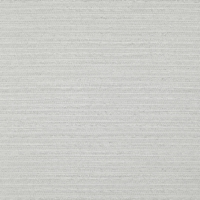Darwin # 703 Silver by Maxwell Fabric PURE & SIMPLE VII 100% POLYESTER INDIA </p><p>Repeat: Horizontal: and Vertical: 55" - Fabric Carolina -