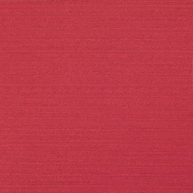 Darwin # 722 Lollipop by Maxwell Fabric PURE & SIMPLE VII 100% POLYESTER INDIA 55" - Fabric Carolina -