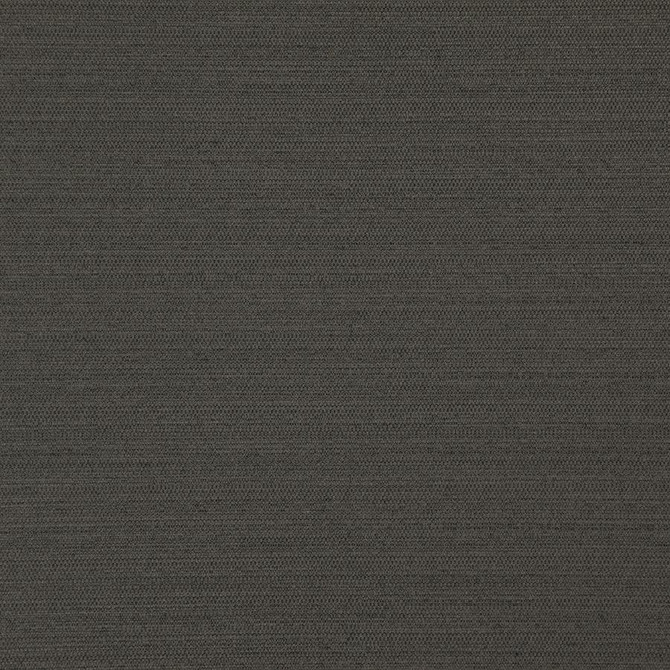 Darwin # 739 Coal by Maxwell Fabric Pure & Simple Vii 100% POLYESTER INDIA 55" - Fabric Carolina -
