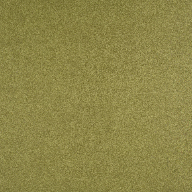 Icon # 741 Spring by Maxwell Fabric EASY RIDER VII FACE: 95% POLYURETHANE/ 5% SILICONE
BACKING: 100% POLYESTER TAIWAN 54" - Fabric Carolina -