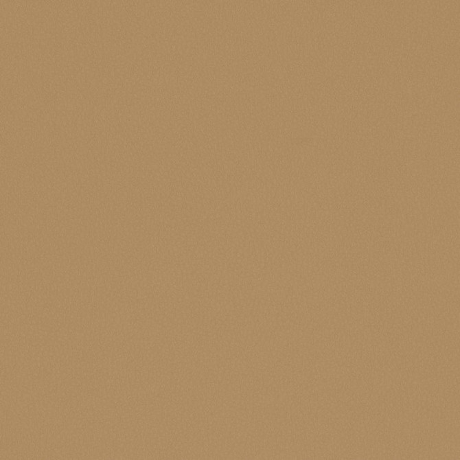 Matinee # 728 Farina by Maxwell Fabric Easy Rider Vii FACE: 100% POLYURETHANE
BACKING: 100% POLYESTER CHINA 54" - Fabric Carolina -