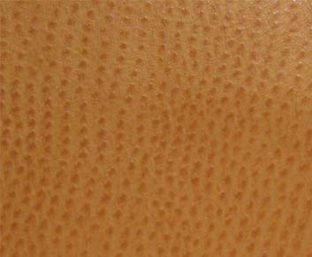 Phoenix(Contract Vinyl) # 005 Chutney by Maxwell Fabric Vinyls Iv - Contract 100% PVC BACKING-100% POLYESTER TAIWAN 54" - Fabric Carolina -