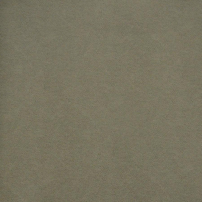 Pony Express # 5007 Flintstone by Maxwell Fabric 100% POLYURETHANE CHINA 54" - Fabric Carolina -