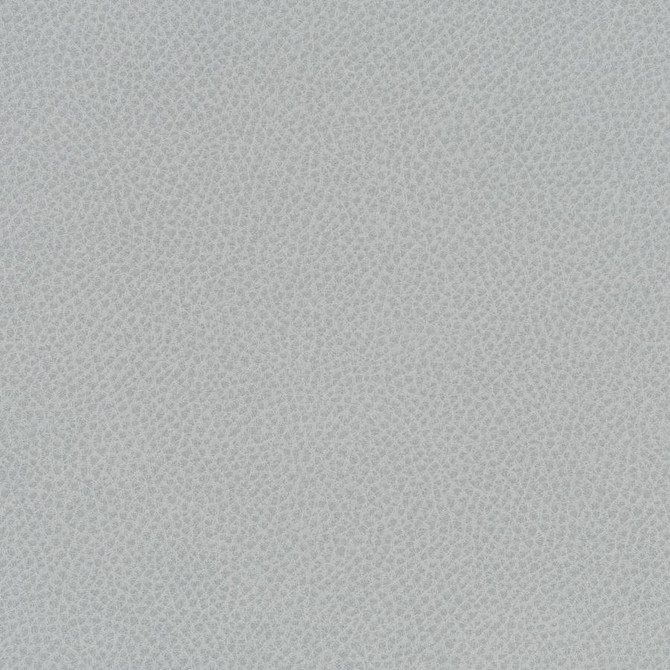 Scene # 785 Nebulous by Maxwell Fabric Easy Rider Vii FACE: 95% POLYURETHANE/ 5% SILICONE
BACKING:100% POLYESTER TAIWAN 54" - Fabric Carolina -