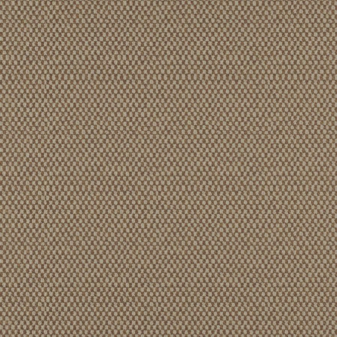 Take Off # 606 Cricket by Maxwell Fabric 100% POLYESTER CHINA 56" - Fabric Carolina -