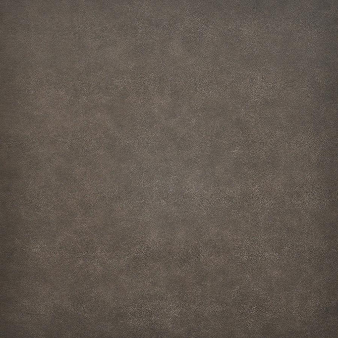 Taro # 219 Shetland by Maxwell Fabric Easy Rider Vi 100% PVC TAIWAN 54" - Fabric Carolina -