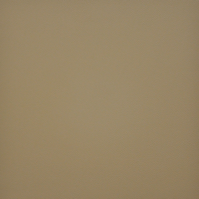 Vesper # 255 Buff by Maxwell Fabric EASY RIDER VI 100% PVC TAIWAN </p><p>Repeat: Horizontal: and Vertical: 54" - Fabric Carolina -