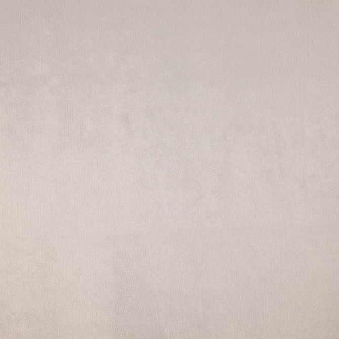 Zurich # 10 Oyster by Maxwell Fabric Glam Velvet 100% POLYESTER INDIA 56.75" - Fabric Carolina -