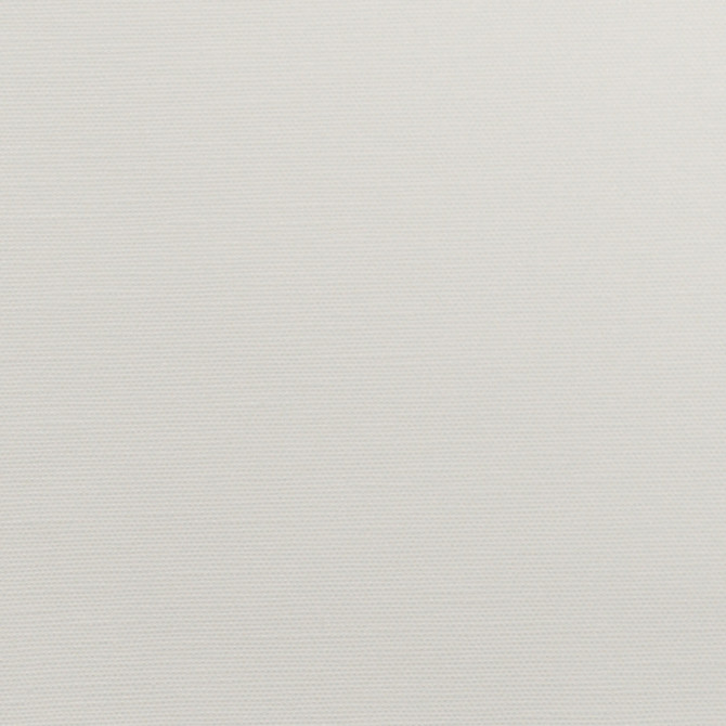 Wilkes Coconut by Magnolia Fabric - 71 Polly/29 Cotton India 30000 Horizontal: 0 and Vertical: 0 54" - Fabric Carolina -