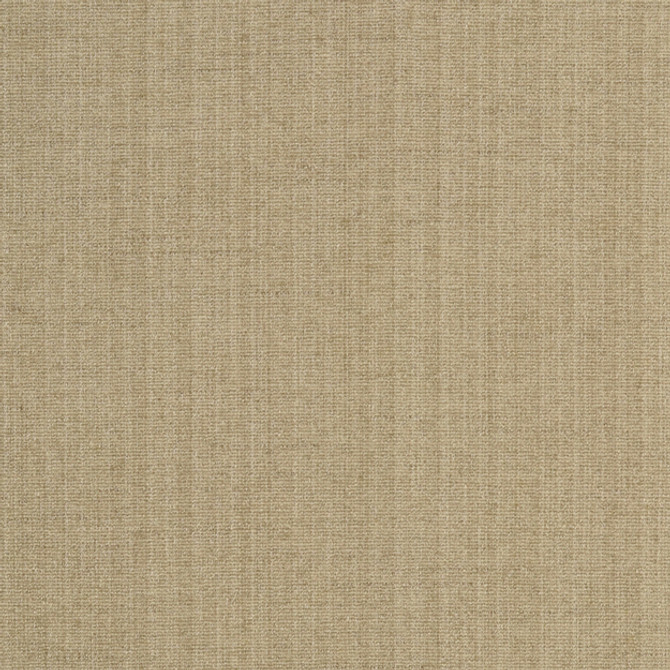 Champion 92J5241 by JF Fabric PROMENADE 83% Polyester, 17% Cotton India 90000 Horizontal: and Vertical: 55 - Fabric Carolina -