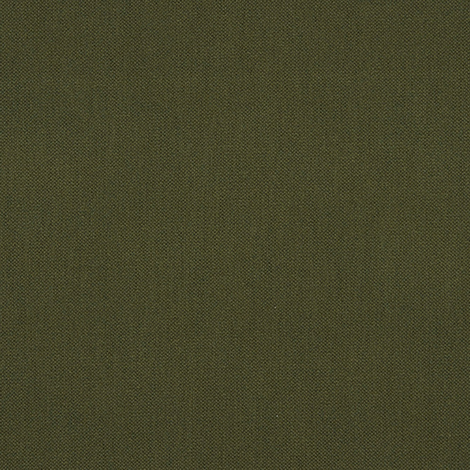 Ezra 78J7031 by JF Crypton Fabric Crypton Binder 100% Polyester Taiwan 50000 Horizontal: and Vertical: 54 - Fabric Carolina -