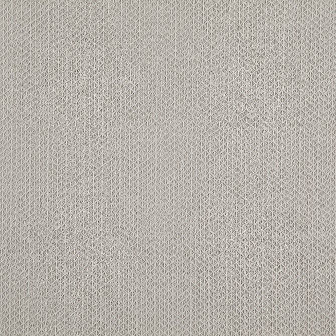 Trinity 34J8721 by JF Fabric Divine Embroidery 72% Polyester, 28% Viscose India Horizontal: 0.875 and Vertical: 0.325 55 - Fabric Carolina -