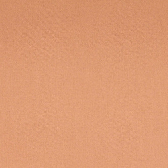 Phantom Shell by Mitchell Fabric #1910 100% Cotton India </p><p>Repeat: Horizontal: and Vertical: 55 - Fabric Carolina -