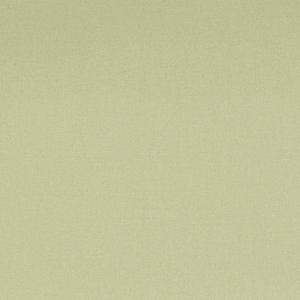 Phantom Spray by Mitchell Fabric #1910 100% Cotton India </p><p>Repeat: Horizontal: and Vertical: 55 - Fabric Carolina -