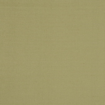 Silk II Leaf by Mitchell Fabric #1704 100% Silk India </p><p>Repeat: Horizontal: 0 and Vertical: 0 54 - Fabric Carolina -