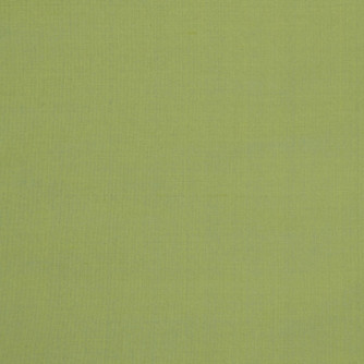 Silk II Ahmednagar by Mitchell Fabric #1704 100% Silk India </p><p>Repeat: Horizontal: 0 and Vertical: 0 54 - Fabric Carolina -
