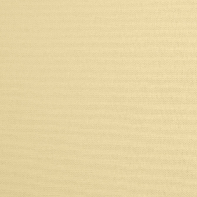 Daffy Buff by Mitchell Fabric #1425 - Daffy Duck 100% Cotton India 40,000 </p><p>Repeat: Horizontal: 0 and Vertical: 0 56 - Fabric Carolina -