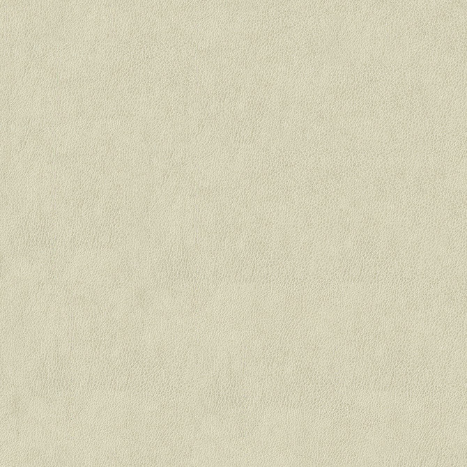 Baldwin 600 Bone by ABBEYSHEA Fabric N/A 85% Polyester, 15% Cotton China 50,000 Double Rubs </p><p>Repeat: Horizontal: 14.3" (36.5 cm) Across the Roll and Vertical: 29.5" (75.0 cm) Up the Roll 56" (142 cm) - Fabric Carolina -