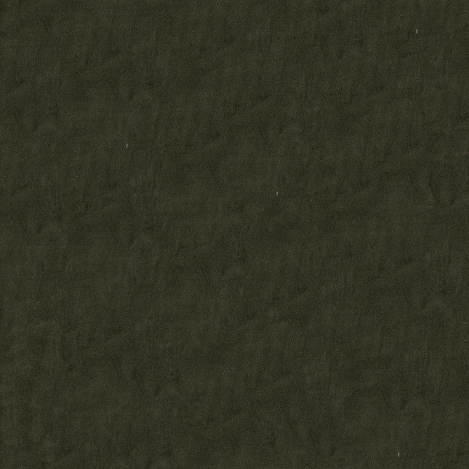 Benjamin 609 Mink by ABBEYSHEA Fabric N/A 100% Polyurethane (PU) China 72,000 Double Rubs </p><p>Repeat: Horizontal: and Vertical: 54" (137 cm) - Fabric Carolina -